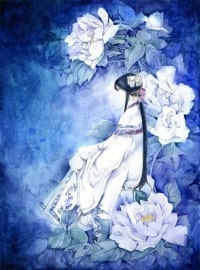 从校园贷开始